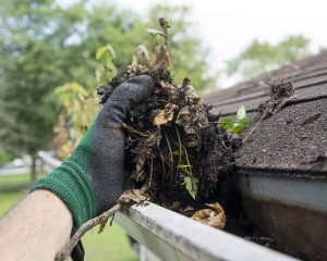 Pure Maintenance WA: Gutter Cleaning