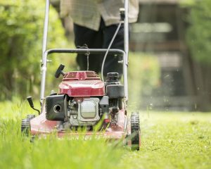 Pure Maintenance WA: Lawn Mowing