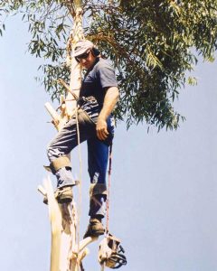 Pure Maintenance WA: Tree Lopping