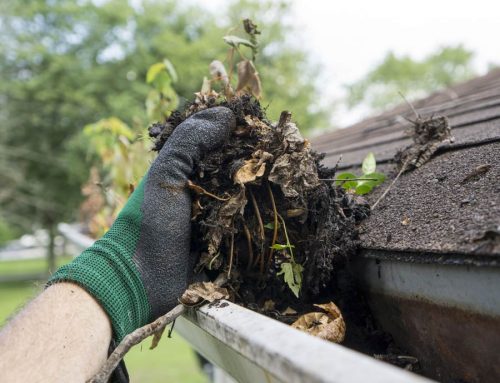 Gutter Cleaning