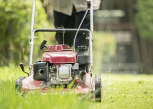 Pure Maintenance WA: Lawn Mowing