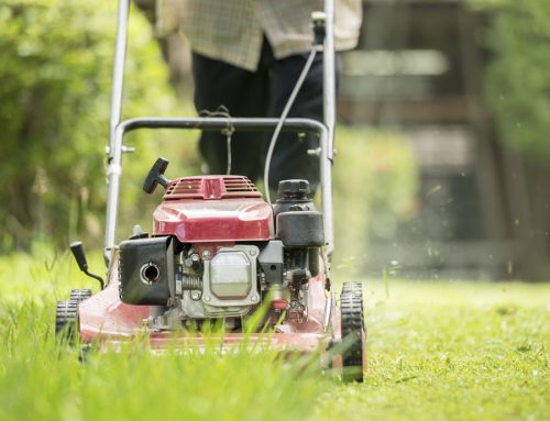 Lawn Mowing