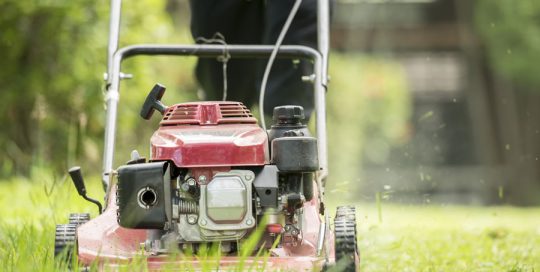 Pure Maintenance WA: Lawn Mowing